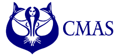 CMAS Spearfishing