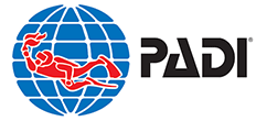 Padi