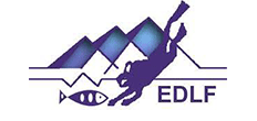EDLF