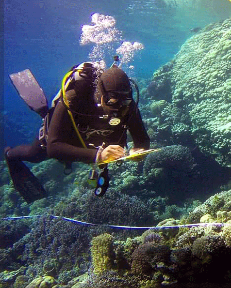 Scientific Diving