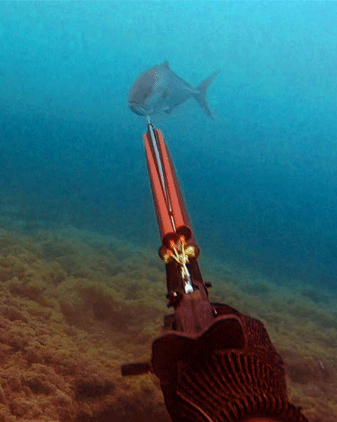 Spearfishing