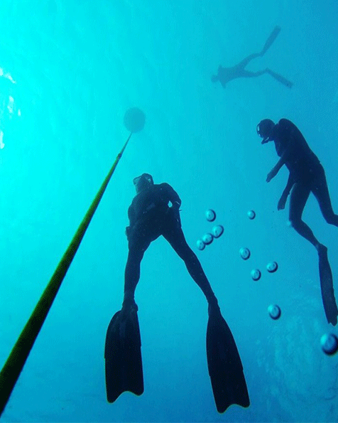 Freediving
