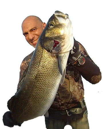 Mohammad Adel