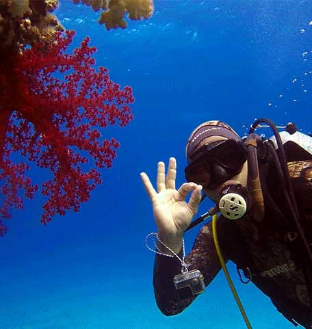 Marine Biology Researcher