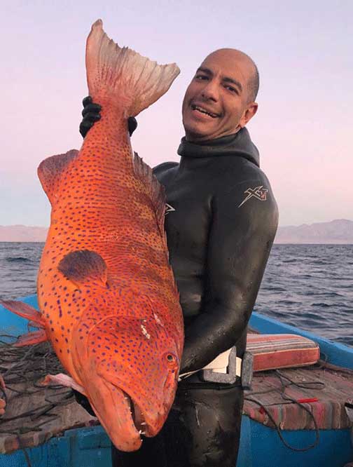 Mohammad Adel